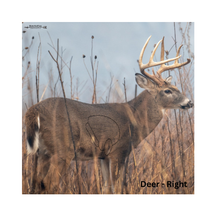 Load image into Gallery viewer, Bow-NaFide Block Target Faces - 24"x24"