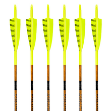 Load image into Gallery viewer, Black Eagle Vintage Carbon Arrows -  Flo Yellow