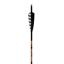 Load image into Gallery viewer, Gold Tip Traditional Arrows - Black Jack
