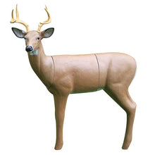 Load image into Gallery viewer, Real Wild 3D Medium Series Alert Buck with EZ Pull Foam