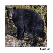 Load image into Gallery viewer, Bow-NaFide Block Target Faces - 24"x24"