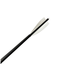Load image into Gallery viewer, Youth Carbon Arrows - 6 Pack