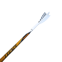Load image into Gallery viewer, Easton Legacy - White Out