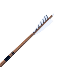 Load image into Gallery viewer, Gold Tip Traditional Arrows - Classic White