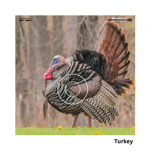 Load image into Gallery viewer, Bow-NaFide Block Target Faces - 24"x24"