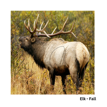 Load image into Gallery viewer, Bow-NaFide Block Target Faces - 24"x24"