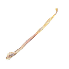Load image into Gallery viewer, Back Sinew