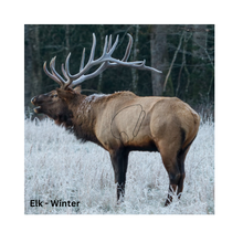 Load image into Gallery viewer, Bow-NaFide Block Target Faces - 24"x24"