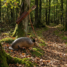 Load image into Gallery viewer, Pro Hunter Armadillo Archery Target with EZ Pull Foam