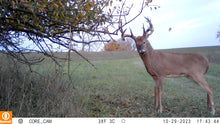 Load image into Gallery viewer, David's Select System | Early Season - Late Season