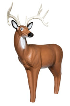 Load image into Gallery viewer, Real Wild 3D Big Buck Deer with EZ Pull Foam - - FREE SHIPPING
