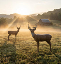 Load image into Gallery viewer, Pro Hunter Double Duty Buck Archery Target