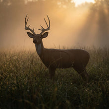 Load image into Gallery viewer, Pro Hunter Double Duty Buck Archery Target