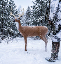Load image into Gallery viewer, Pro Hunter Double Duty Buck Archery Target