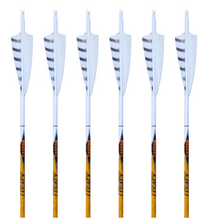 Load image into Gallery viewer, Easton Legacy Carbon Arrows - White Out - 6 Pack
