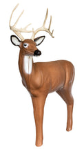Load image into Gallery viewer, Real Wild 3D Medium Series Alert Buck with EZ Pull Foam - - FREE SHIPPING
