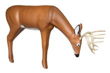 Load image into Gallery viewer, Real Wild 3D Medium Series Browsing Deer with EZ Pull Foam