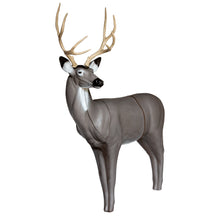 Load image into Gallery viewer, QuivAR Enabled Mule Deer