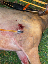 Load image into Gallery viewer, VPA Omega Broadhead