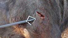 Load image into Gallery viewer, Black Hornet Ser-Razor 4-Blade Broadhead 3-Pack
