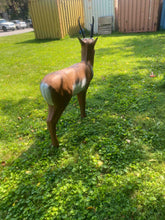 Load image into Gallery viewer, Real Wild 3D Pronghorn Antelope Archery Target with EZ Pull Foam