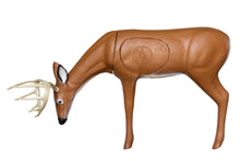 Load image into Gallery viewer, Real Wild 3D Browsing Replaceable Vital Deer with EZ Pull Foam
