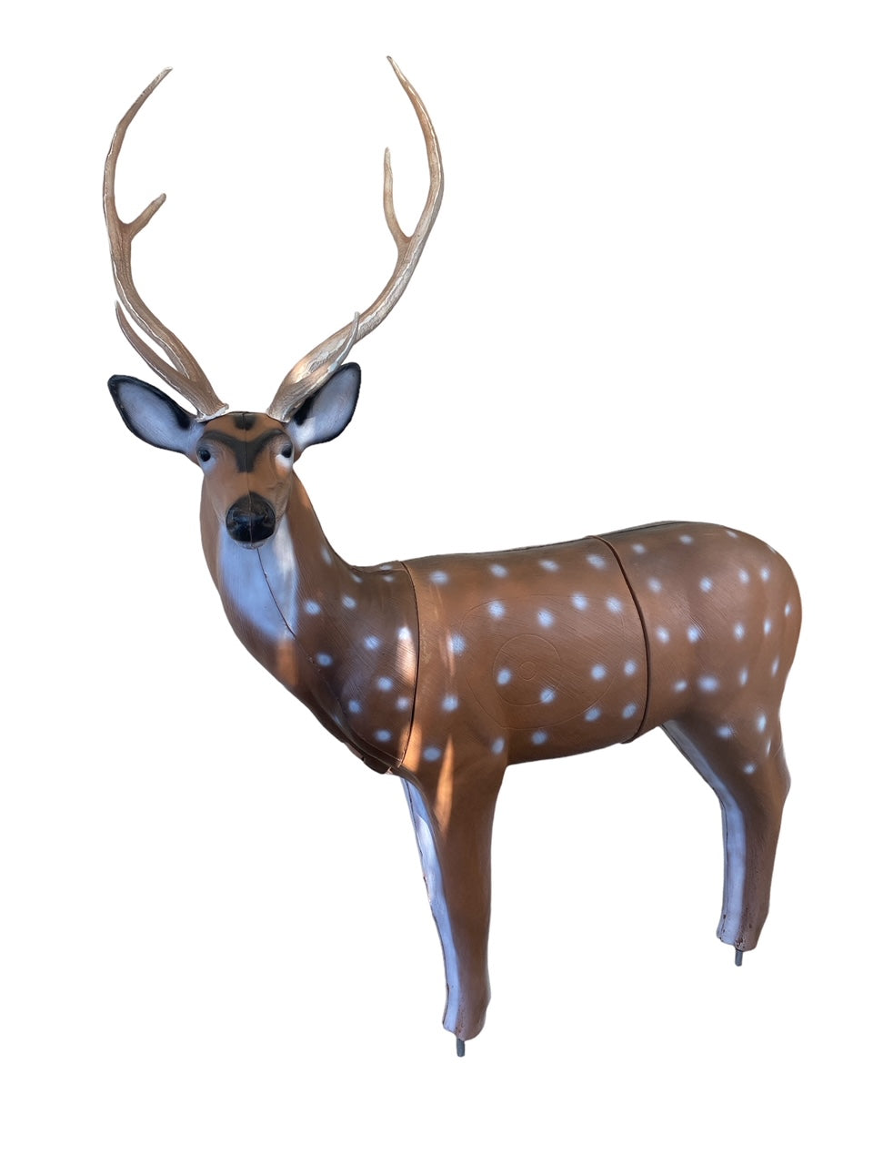 Real Wild 3D Axis Deer with EZ Pull Foam - - FREE SHIPPING