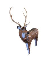 Load image into Gallery viewer, Real Wild 3D Axis Deer with EZ Pull Foam - - FREE SHIPPING
