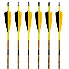 Load image into Gallery viewer, Black Eagle Vintage Carbon Arrows -  Yellow Jacket