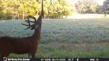 Load image into Gallery viewer, The Hemp Rope Kit | All Season