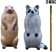 Load image into Gallery viewer, Pro Hunter Raccoon And Groundhog Combo Pack Archery Targets