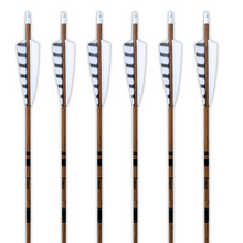 Load image into Gallery viewer, Gold Tip Traditional Arrows - Classic White