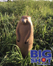 Load image into Gallery viewer, Pro Hunter Raccoon And Groundhog Combo Pack