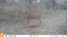Load image into Gallery viewer, The Rut System | Peak Rut
