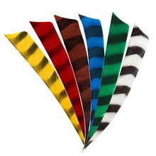 Load image into Gallery viewer, Bearpaw - Shield Cut - 5" - Barred Feathers