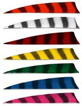 Load image into Gallery viewer, Bearpaw - Shield Cut - 5" - Barred Feathers