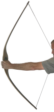 Load image into Gallery viewer, Crowned Eagle Hybrid Longbow - 60"