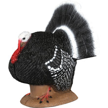 Load image into Gallery viewer, Delta McKenzie Backyard 3D Target Strutter Turkey
