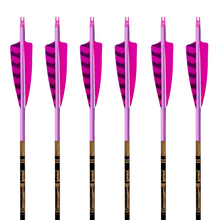 Load image into Gallery viewer, Gold Tip Traditional Arrows - Pink Out
