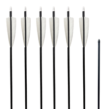 Load image into Gallery viewer, Youth Carbon Arrows - 6 Pack
