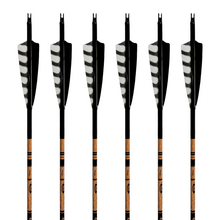 Load image into Gallery viewer, Gold Tip Traditional Arrows - Black Jack
