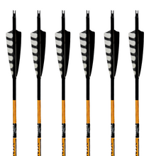 Load image into Gallery viewer, Black Eagle Vintage Carbon Arrows -  Black Jack

