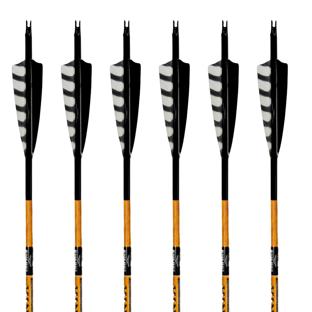 Black Eagle Vintage Carbon Arrows -  Black Jack