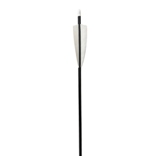 Load image into Gallery viewer, Youth Carbon Arrows - 6 Pack
