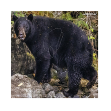 Load image into Gallery viewer, Bow-NaFide Block Target Faces - 24"x24"
