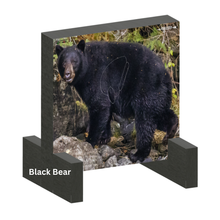 Load image into Gallery viewer, Bow-NaFide Block Target - 24"x 24"
