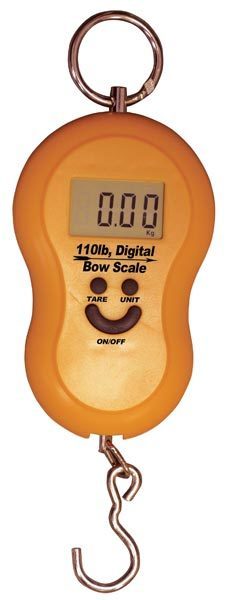 Digital Bow Scale