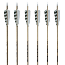 Load image into Gallery viewer, Bearpaw Traditional Extreme Arrows - Shield Feathers - 6 Pack
