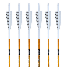 Load image into Gallery viewer, Black Eagle Vintage Carbon Arrows -  White Out - (Barred White/White) 6-pack
