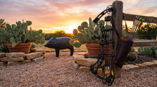 Load image into Gallery viewer, Real Wild 3D Competition Javelina Archery Target with EZ Pull Foam

